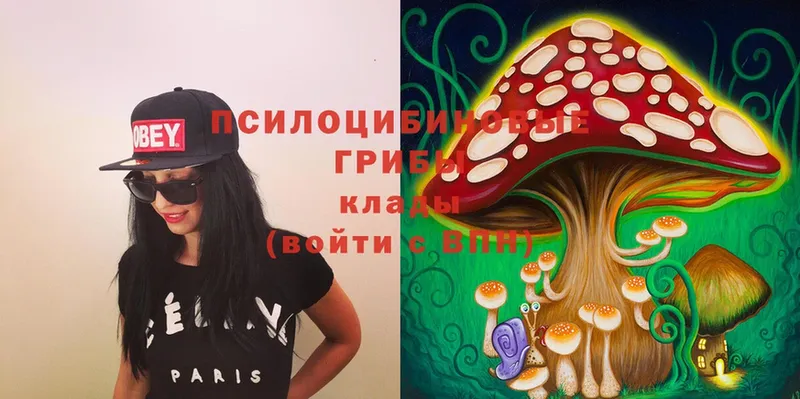 Галлюциногенные грибы Magic Shrooms  Наволоки 